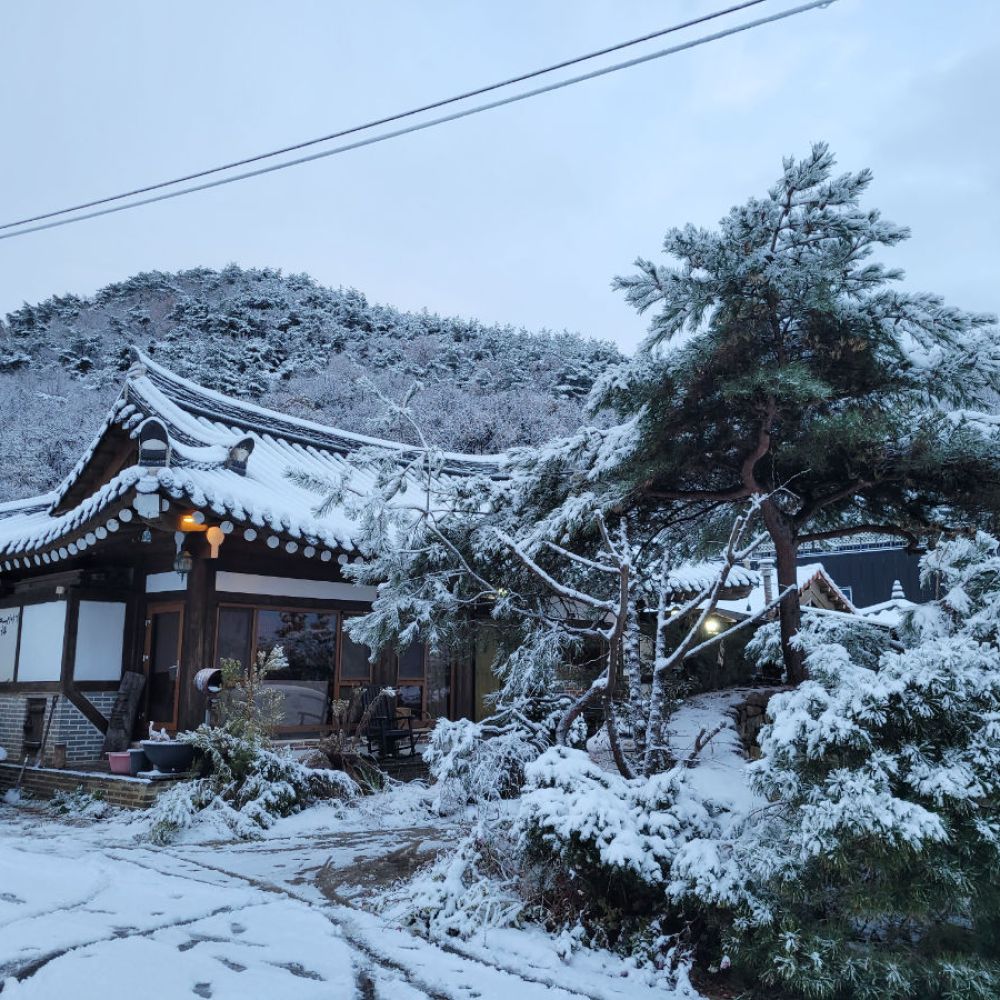 주간전경